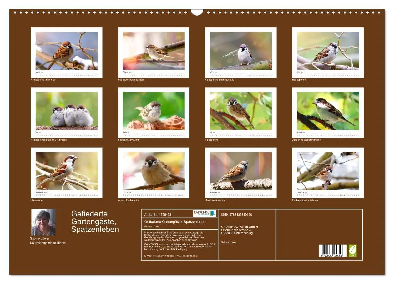 Bild: 9783435319350 | Gefiederte Gartengäste, Spatzenleben (Wandkalender 2025 DIN A2...