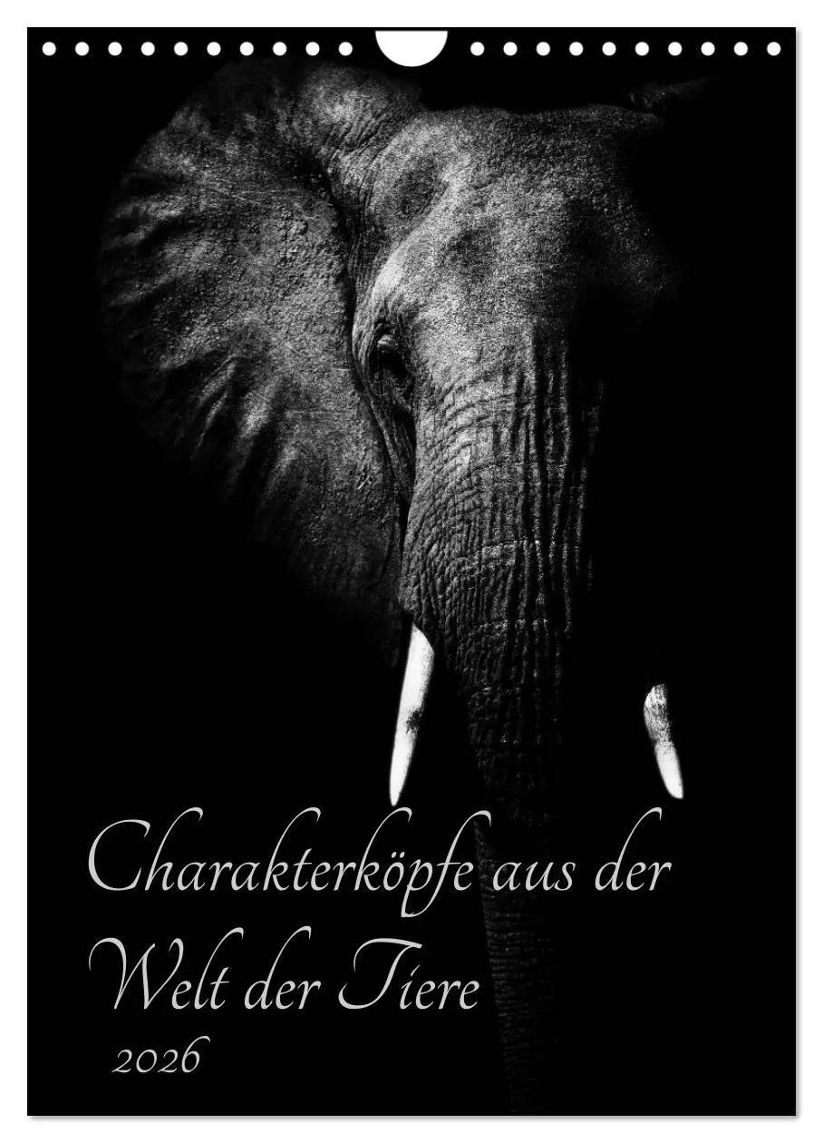 Cover: 9783516429350 | Charakterköpfe aus der Welt der Tiere (Wandkalender 2026 DIN A4...