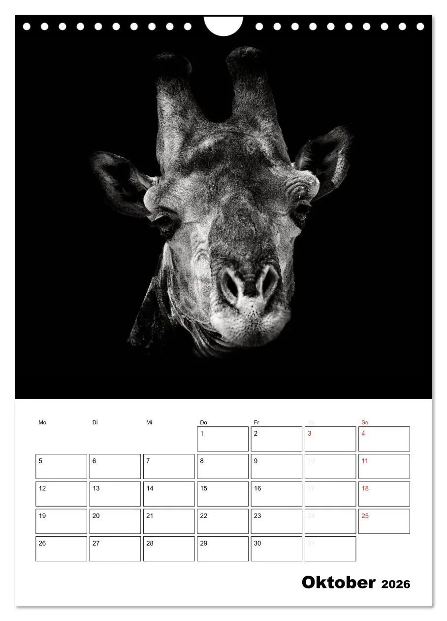Bild: 9783516429350 | Charakterköpfe aus der Welt der Tiere (Wandkalender 2026 DIN A4...