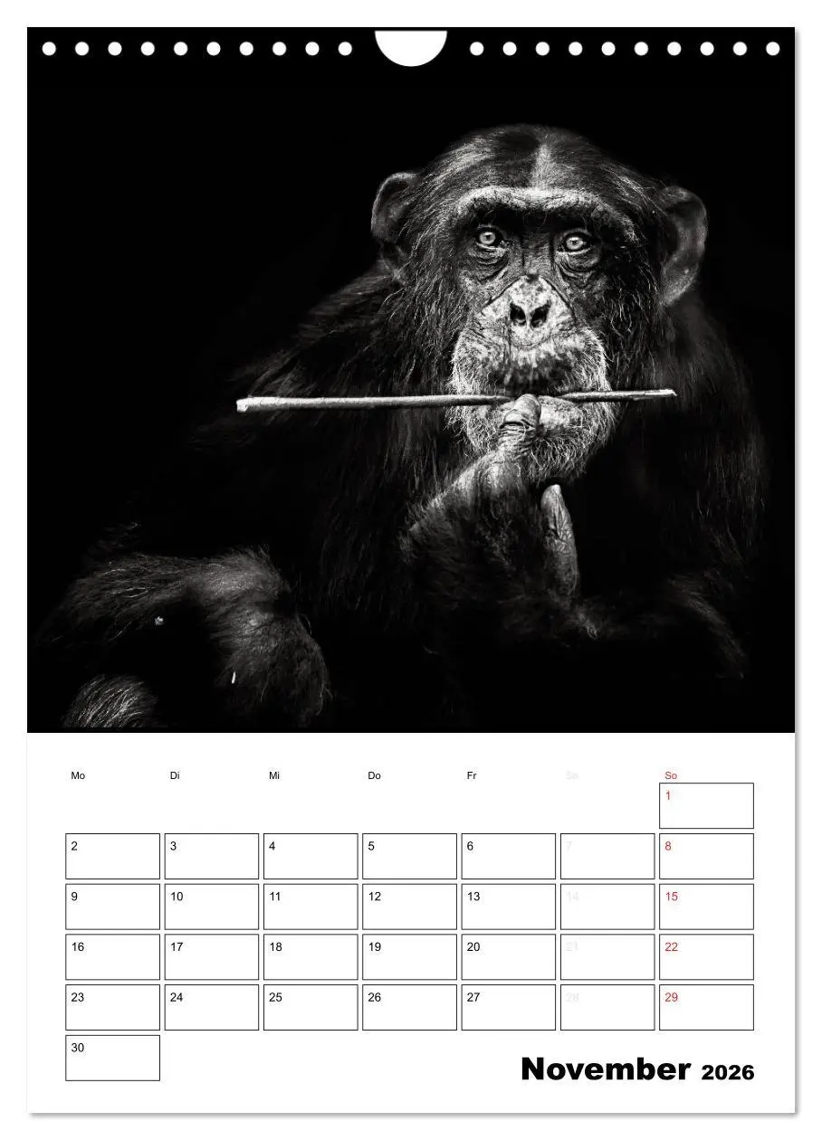 Bild: 9783516429350 | Charakterköpfe aus der Welt der Tiere (Wandkalender 2026 DIN A4...