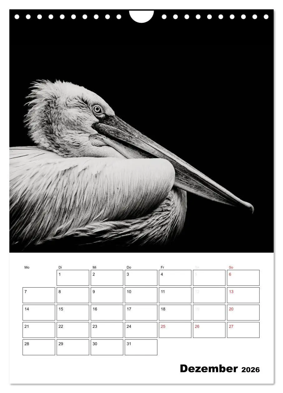 Bild: 9783516429350 | Charakterköpfe aus der Welt der Tiere (Wandkalender 2026 DIN A4...