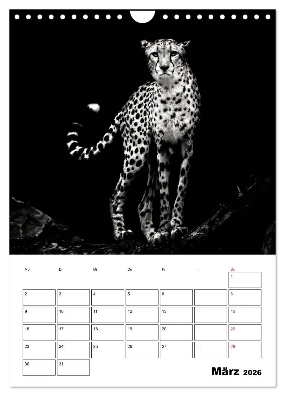 Bild: 9783516429350 | Charakterköpfe aus der Welt der Tiere (Wandkalender 2026 DIN A4...