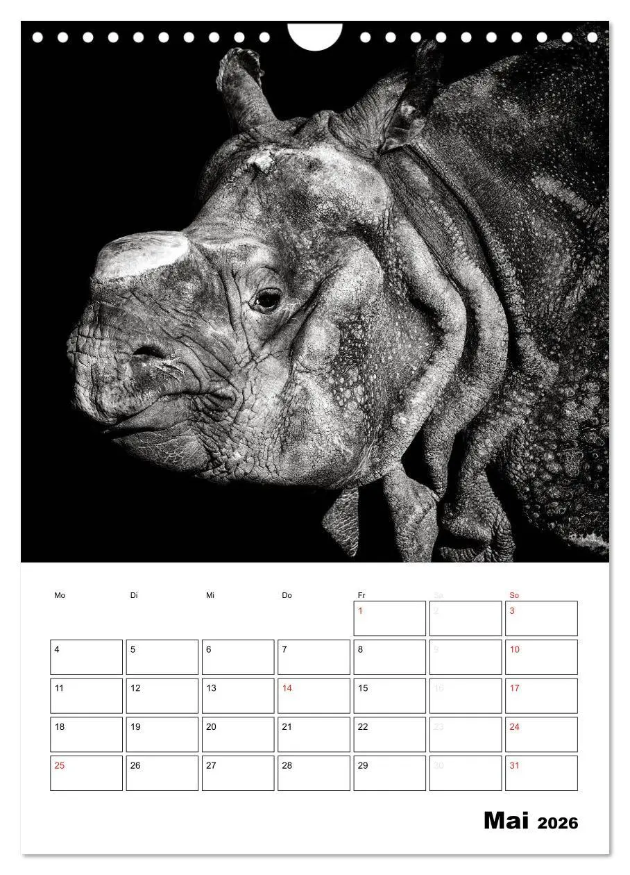 Bild: 9783516429350 | Charakterköpfe aus der Welt der Tiere (Wandkalender 2026 DIN A4...