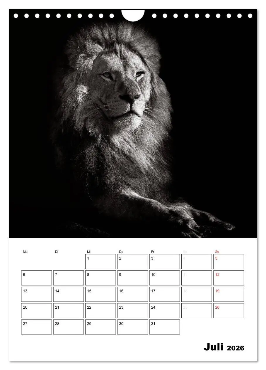 Bild: 9783516429350 | Charakterköpfe aus der Welt der Tiere (Wandkalender 2026 DIN A4...