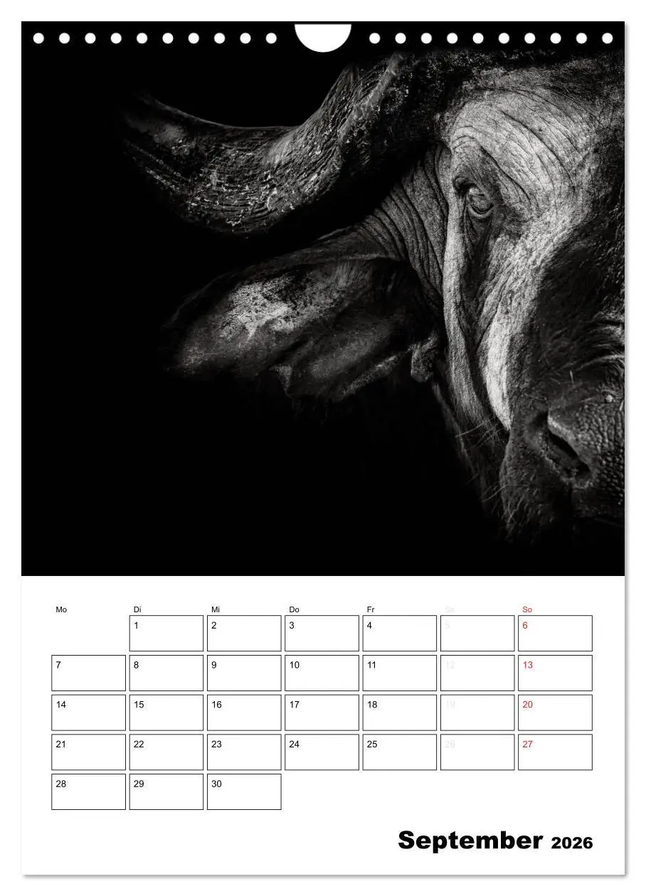 Bild: 9783516429350 | Charakterköpfe aus der Welt der Tiere (Wandkalender 2026 DIN A4...