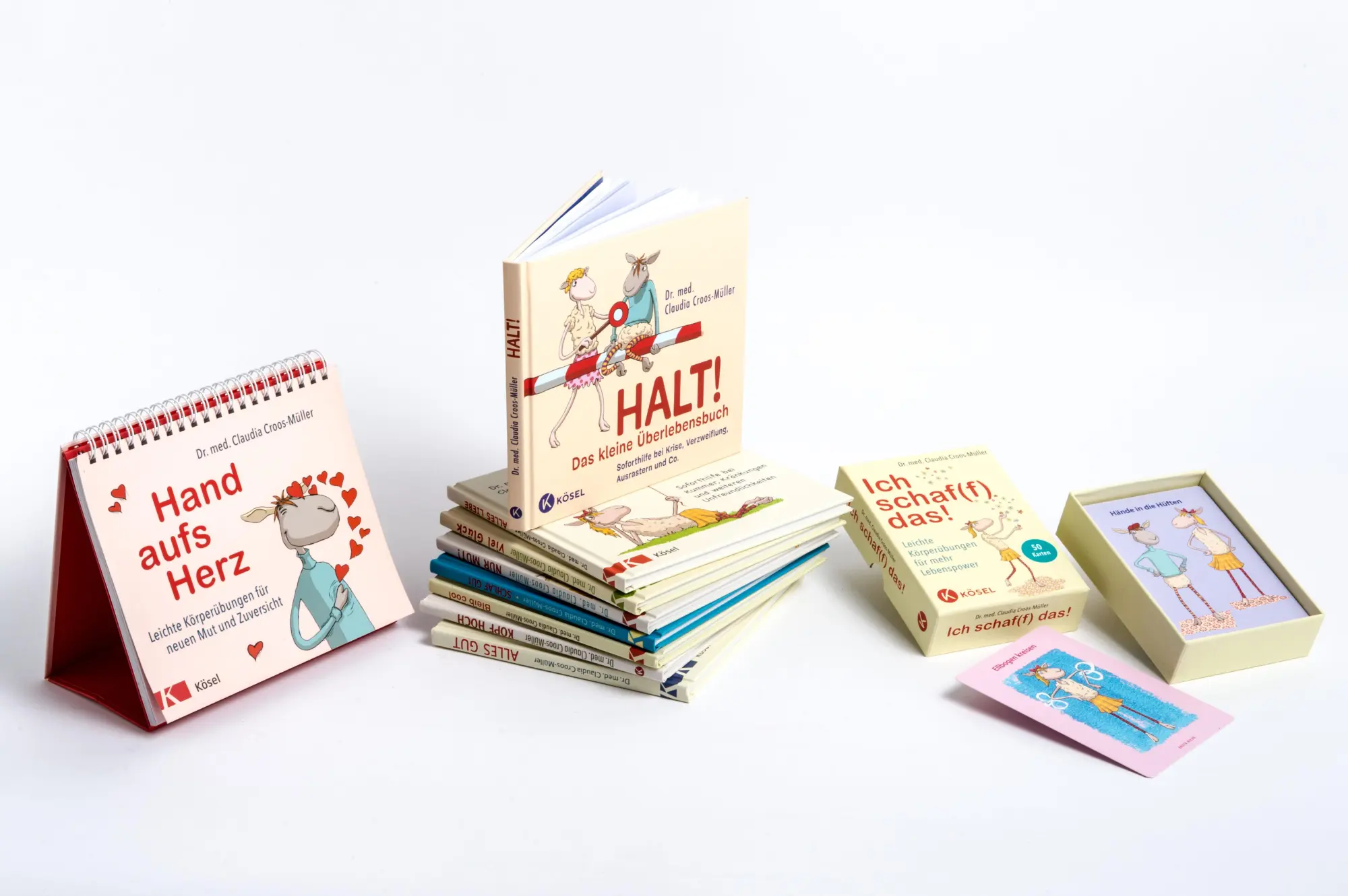 Bild: 9783466309450 | Nur Mut! Das kleine Überlebensbuch | Claudia Croos-Müller | Buch