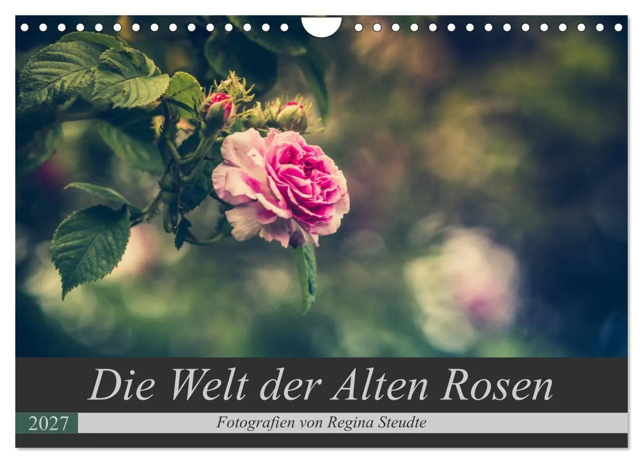 Cover: 9783569819450 | Die Welt der Alten Rosen (Wandkalender 2027 DIN A4 quer), CALVENDO...