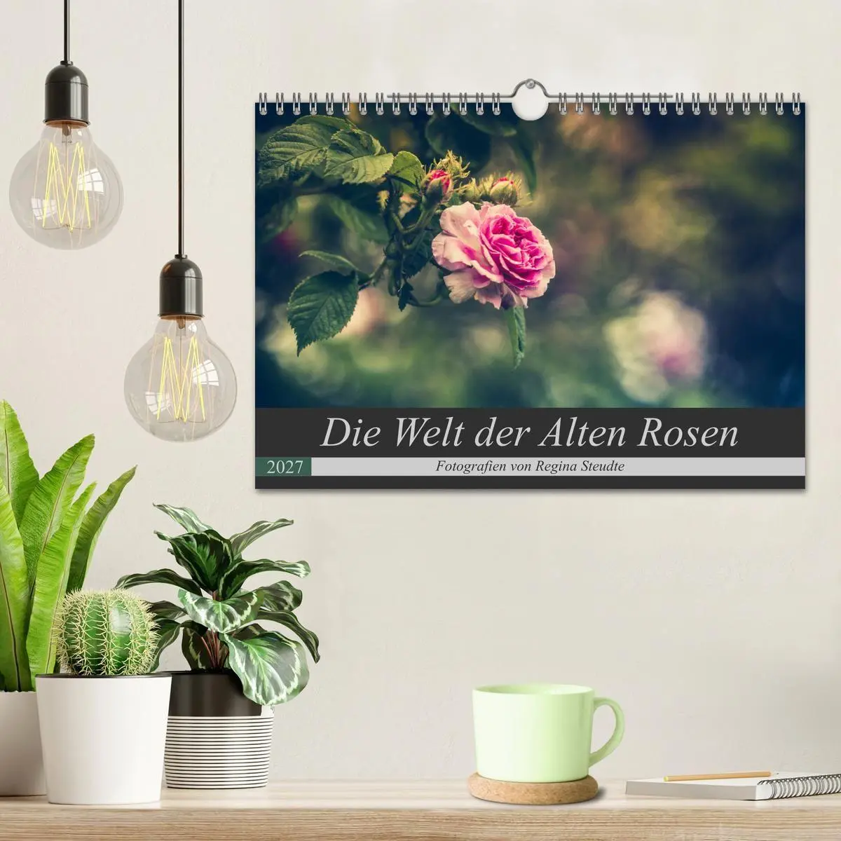 Bild: 9783569819450 | Die Welt der Alten Rosen (Wandkalender 2027 DIN A4 quer), CALVENDO...