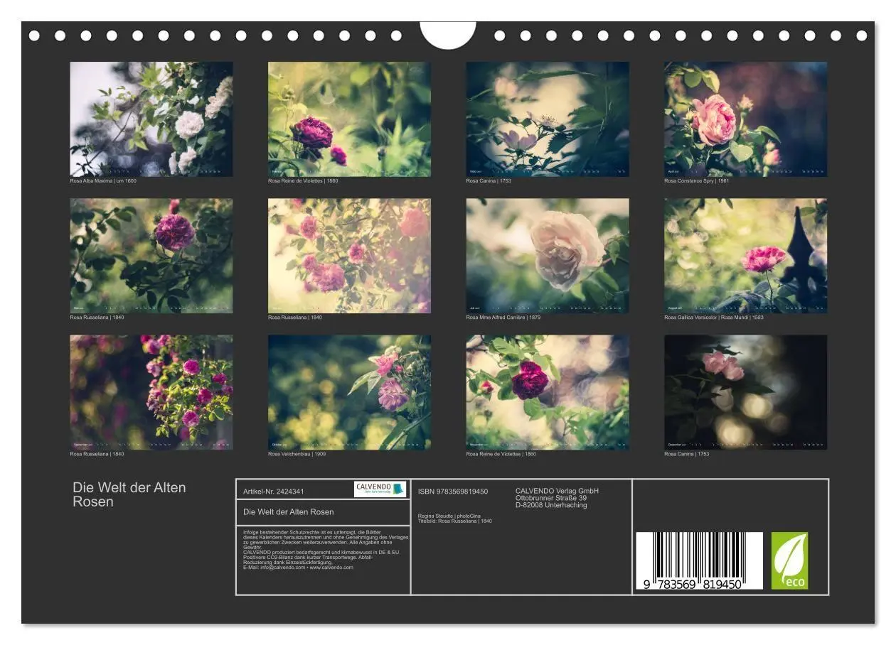 Bild: 9783569819450 | Die Welt der Alten Rosen (Wandkalender 2027 DIN A4 quer), CALVENDO...