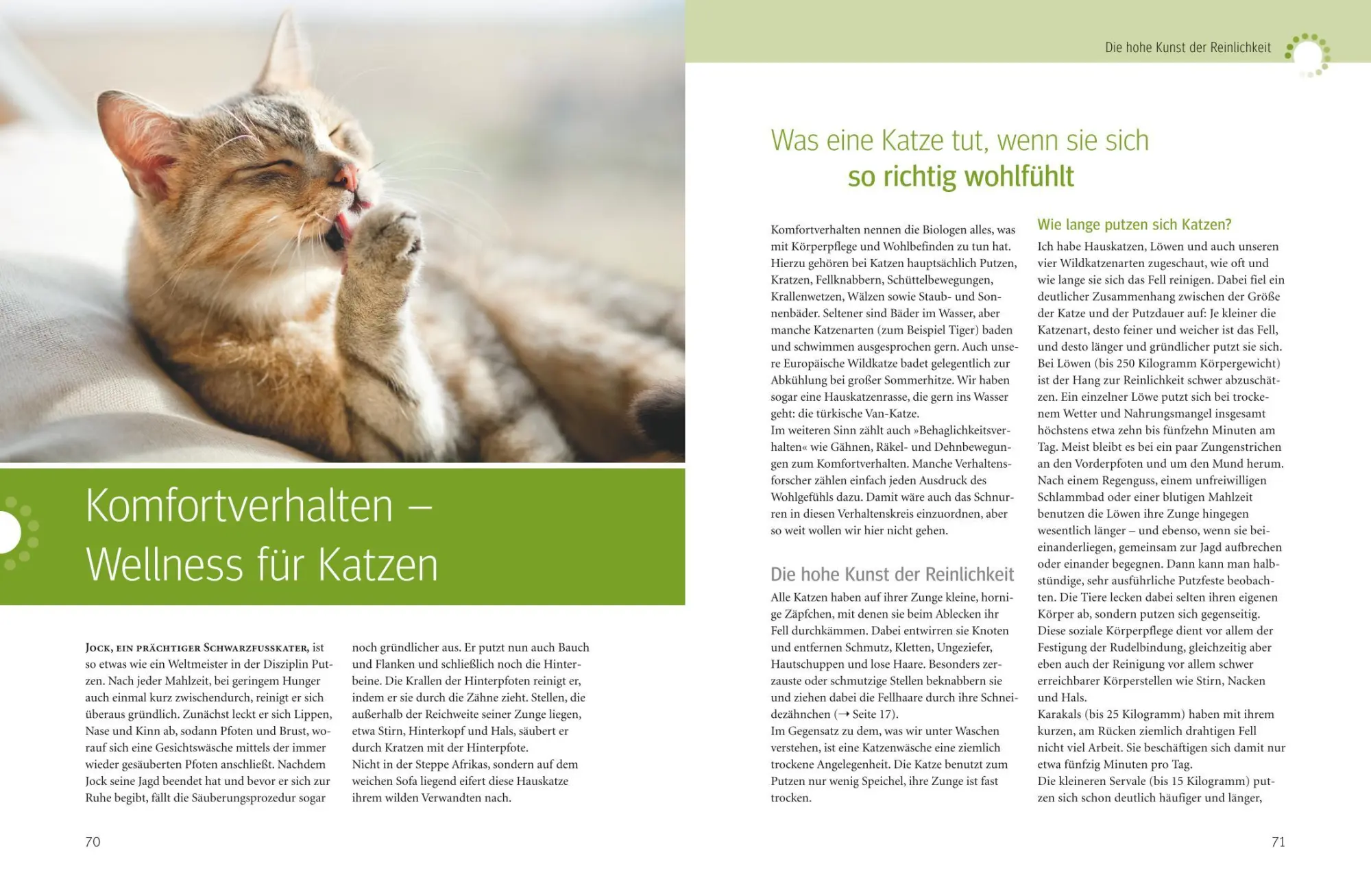 Bild: 9783833839450 | Was Katzen wirklich wollen | Mircea Pfleiderer (u. a.) | Buch | 208 S.