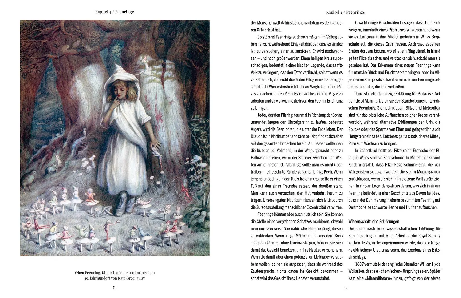 Bild: 9789463599450 | Die Magie der Pilze | Sandra Lawrence | Buch | 208 S. | Deutsch | 2025