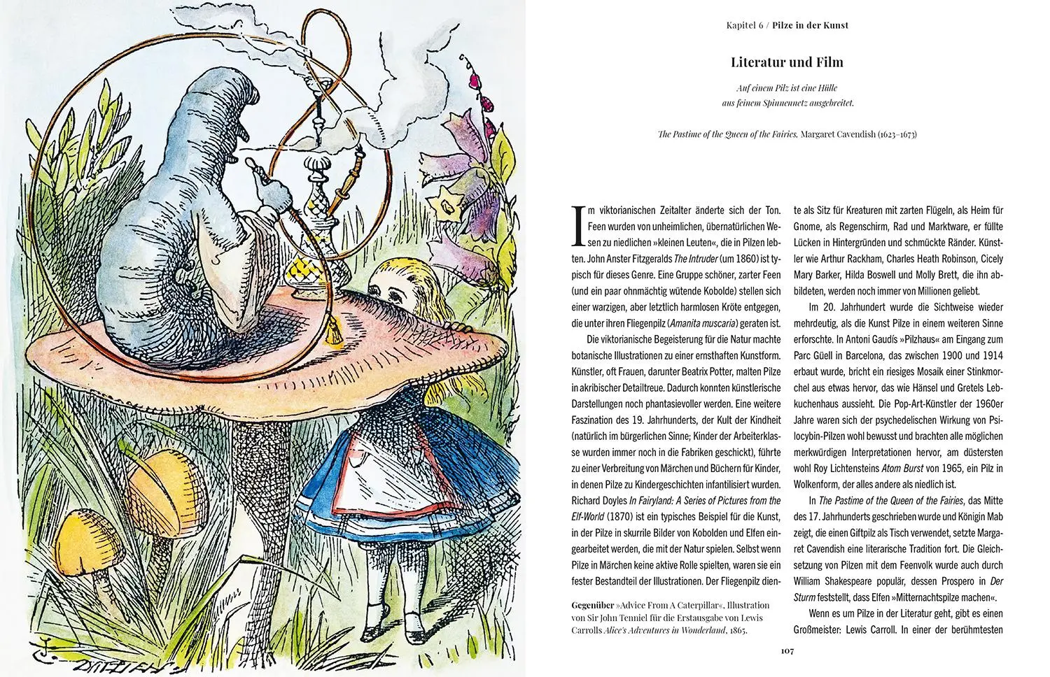 Bild: 9789463599450 | Die Magie der Pilze | Sandra Lawrence | Buch | 208 S. | Deutsch | 2025