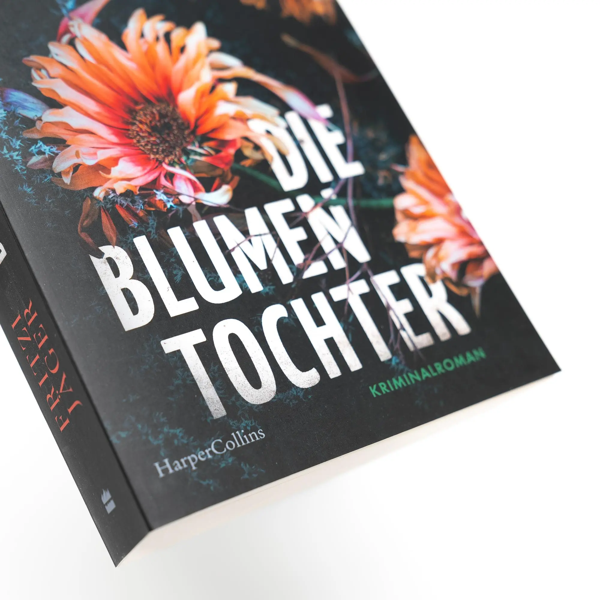 Bild: 9783365009550 | Die Blumentochter | Fritzi Jäger | Taschenbuch | 320 S. | Deutsch