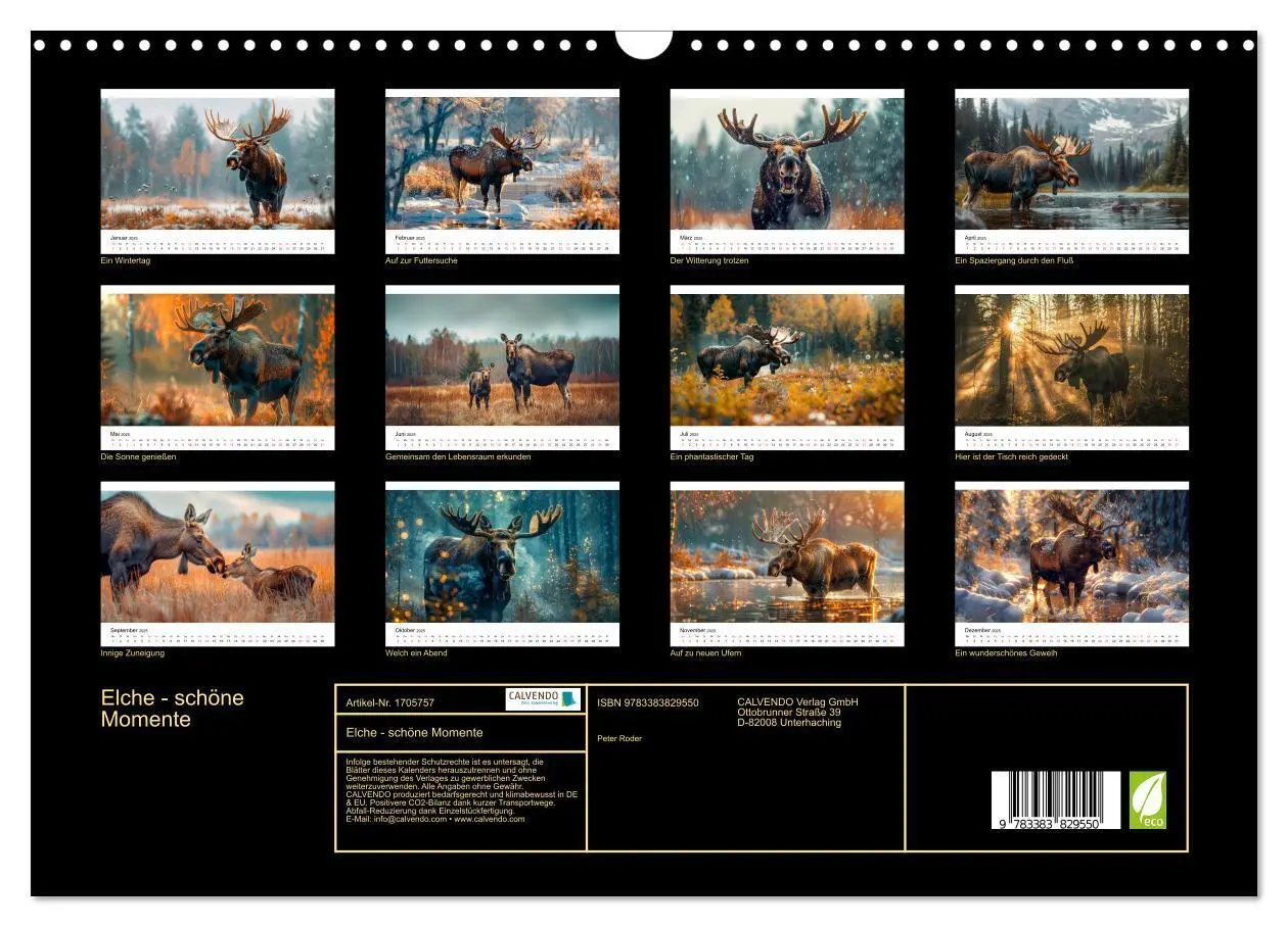 Bild: 9783383829550 | Elche - schöne Momente (Wandkalender 2025 DIN A3 quer), CALVENDO...