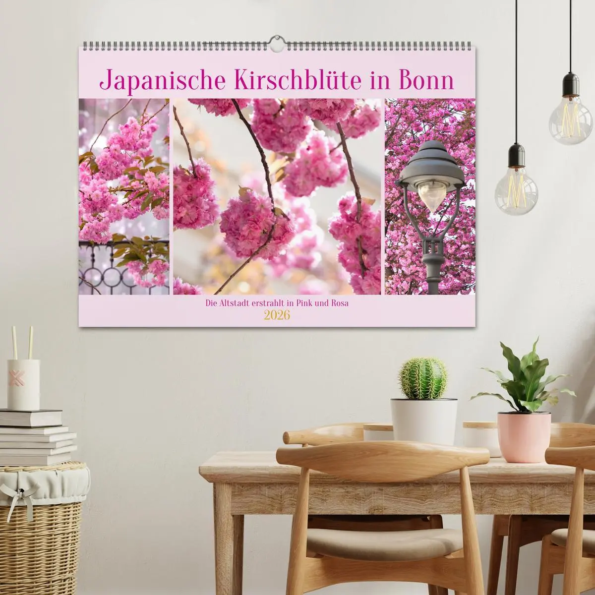 Bild: 9783457559550 | Japanische Kirschblüte in Bonn (Wandkalender 2026 DIN A2 quer),...