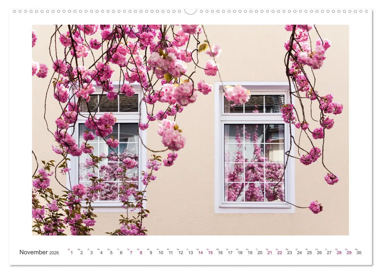 Bild: 9783457559550 | Japanische Kirschblüte in Bonn (Wandkalender 2026 DIN A2 quer),...