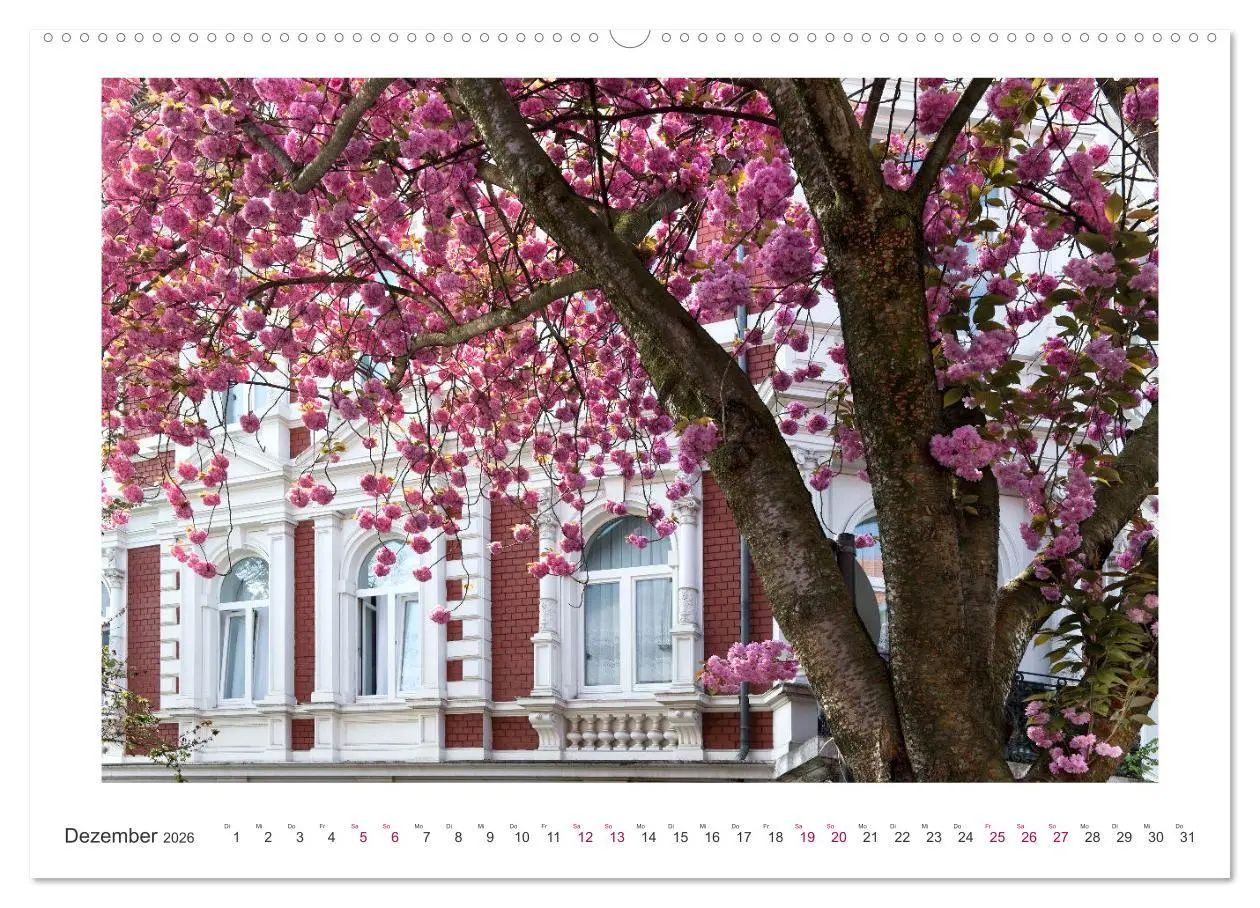 Bild: 9783457559550 | Japanische Kirschblüte in Bonn (Wandkalender 2026 DIN A2 quer),...