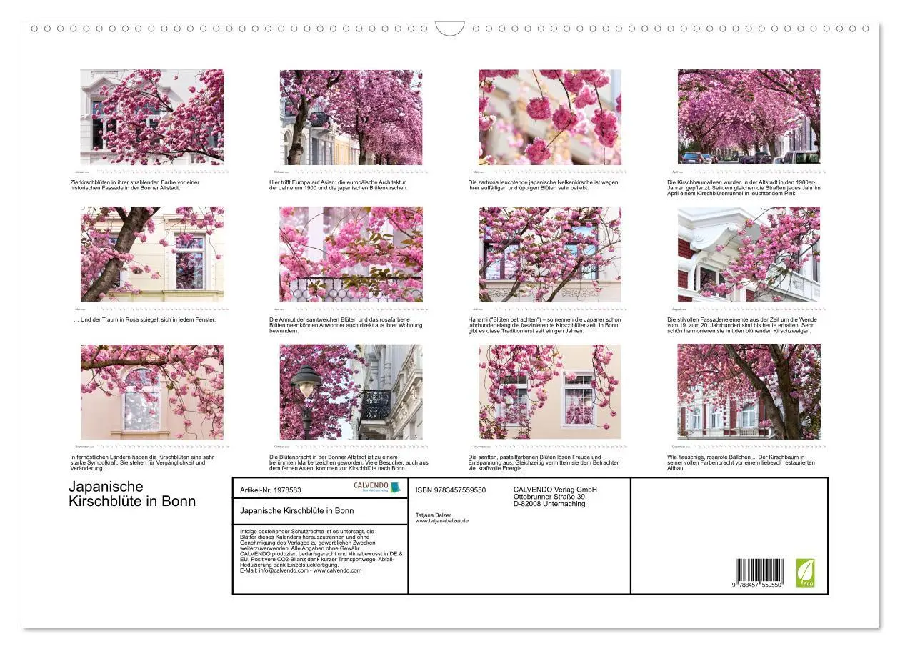 Bild: 9783457559550 | Japanische Kirschblüte in Bonn (Wandkalender 2026 DIN A2 quer),...