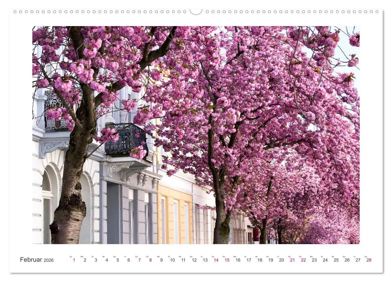Bild: 9783457559550 | Japanische Kirschblüte in Bonn (Wandkalender 2026 DIN A2 quer),...