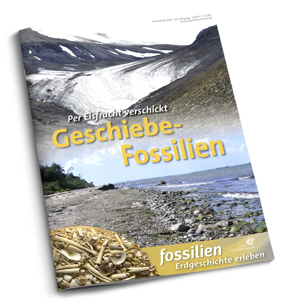 Cover: 9783494019550 | Geschiebe-Fossilien | Per Eisfracht verschickt | Jens Lehmann | 72 S.