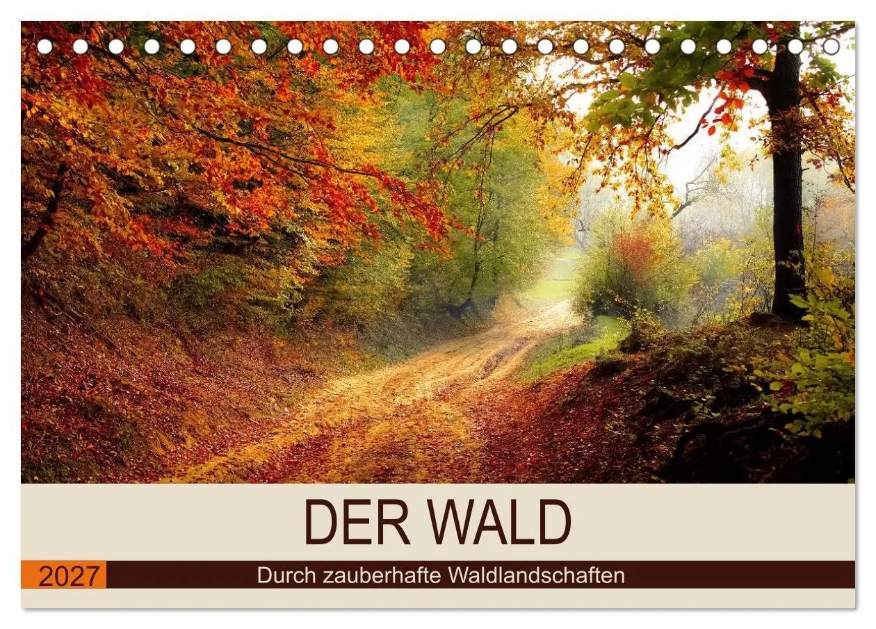 Cover: 9783569739550 | Der Wald. Durch zauberhafte Waldlandschaften (Tischkalender 2027...
