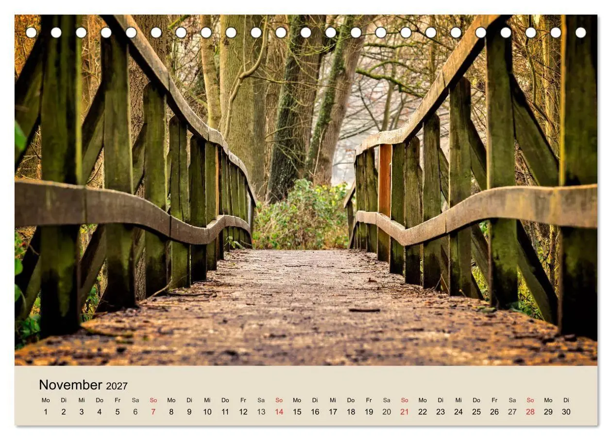 Bild: 9783569739550 | Der Wald. Durch zauberhafte Waldlandschaften (Tischkalender 2027...