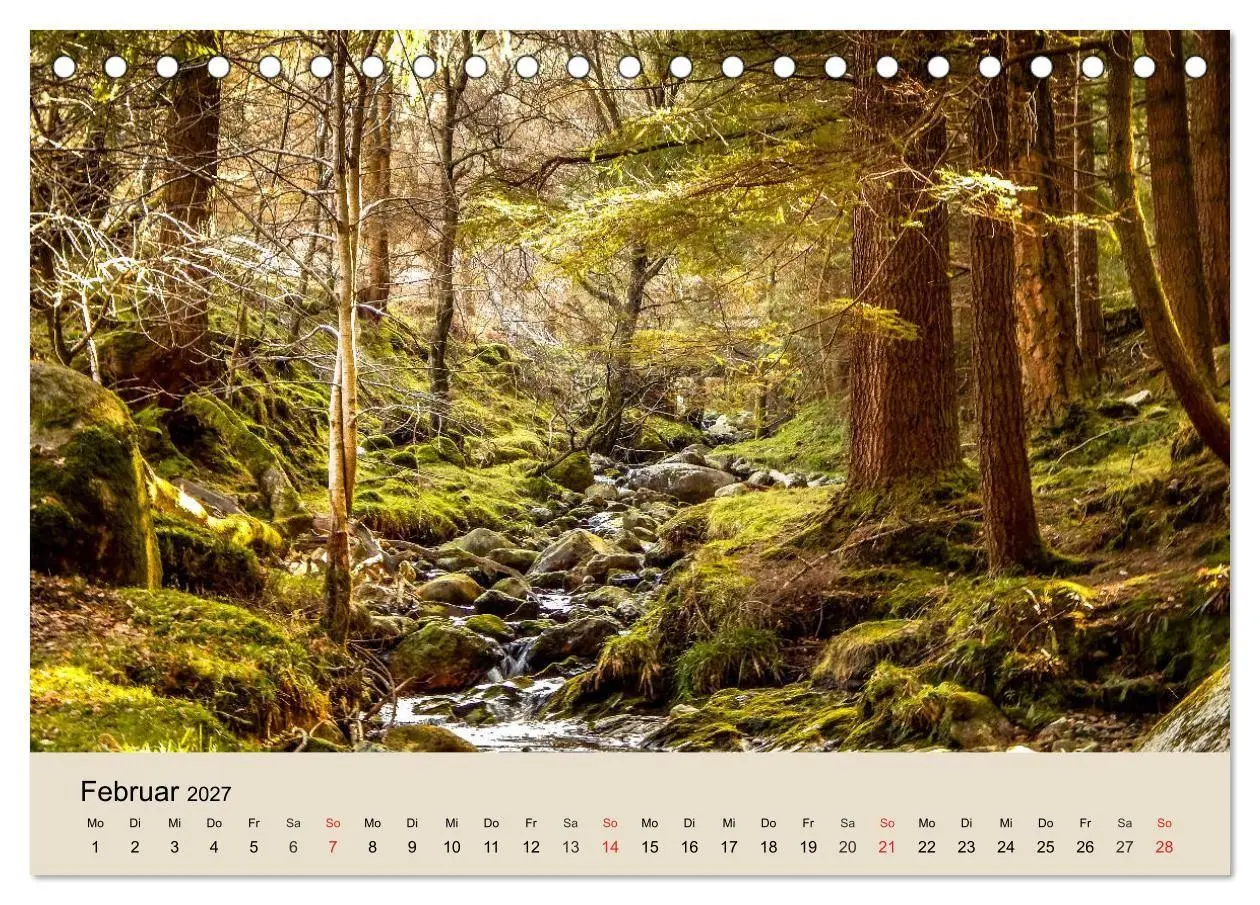 Bild: 9783569739550 | Der Wald. Durch zauberhafte Waldlandschaften (Tischkalender 2027...