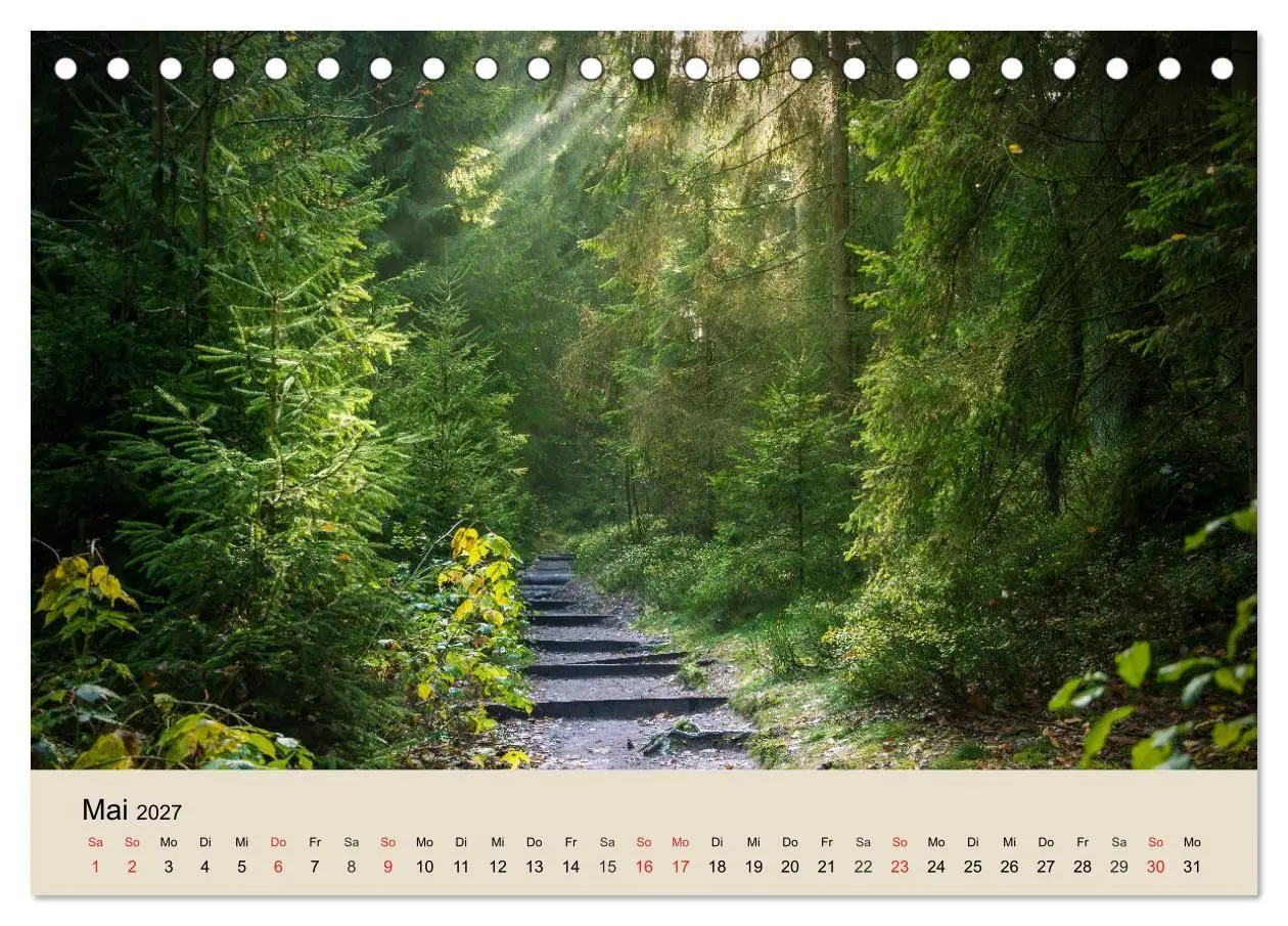 Bild: 9783569739550 | Der Wald. Durch zauberhafte Waldlandschaften (Tischkalender 2027...