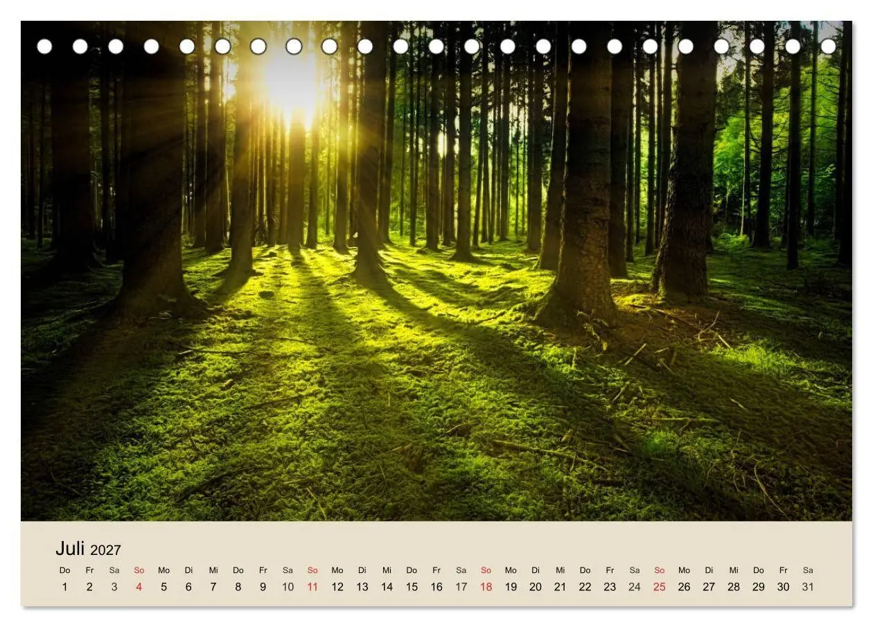 Bild: 9783569739550 | Der Wald. Durch zauberhafte Waldlandschaften (Tischkalender 2027...