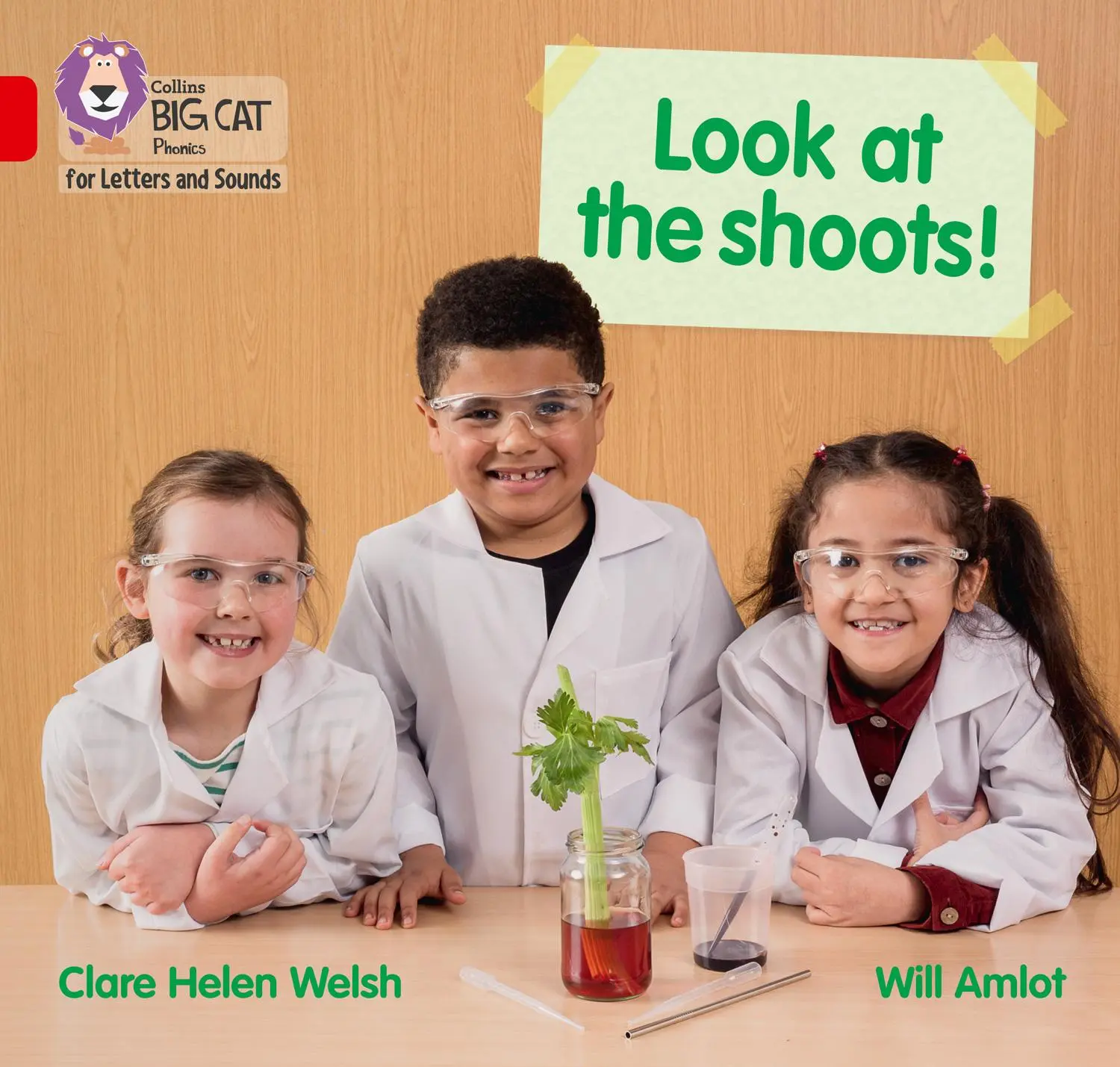 Cover: 9780008379650 | ROOTS &amp; SHOOTS | Band 02b/Red B | Clare Helen Welsh | Taschenbuch