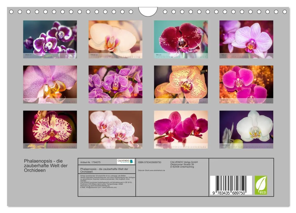 Bild: 9783435689750 | Phalaenopsis - die zauberhafte Welt der Orchideen (Wandkalender...