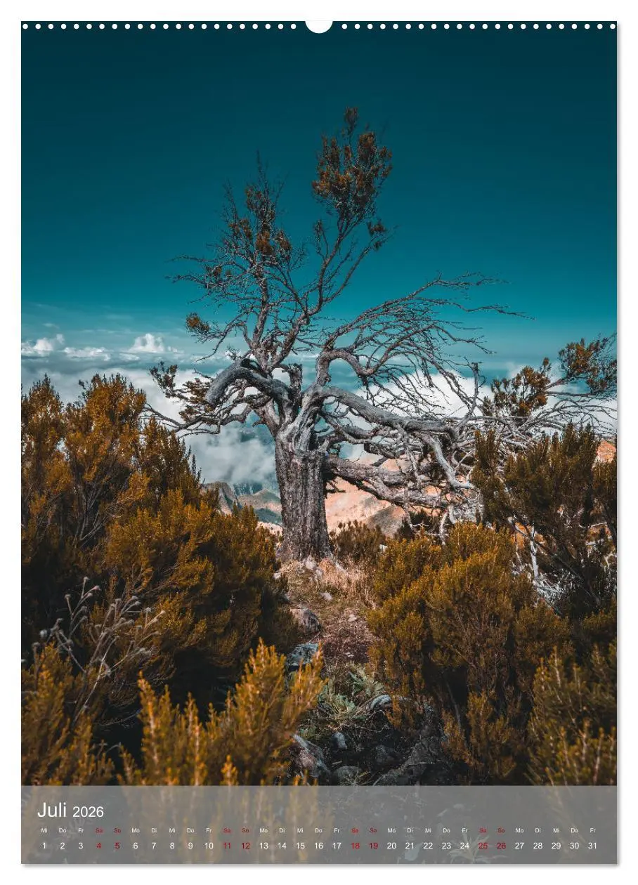 Bild: 9783516319750 | Madeira - Zauber einer Insel (hochwertiger Premium Wandkalender...