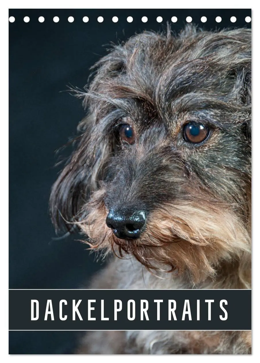 Cover: 9783569709850 | Dackelportraits (Tischkalender 2027 DIN A5 hoch), CALVENDO...