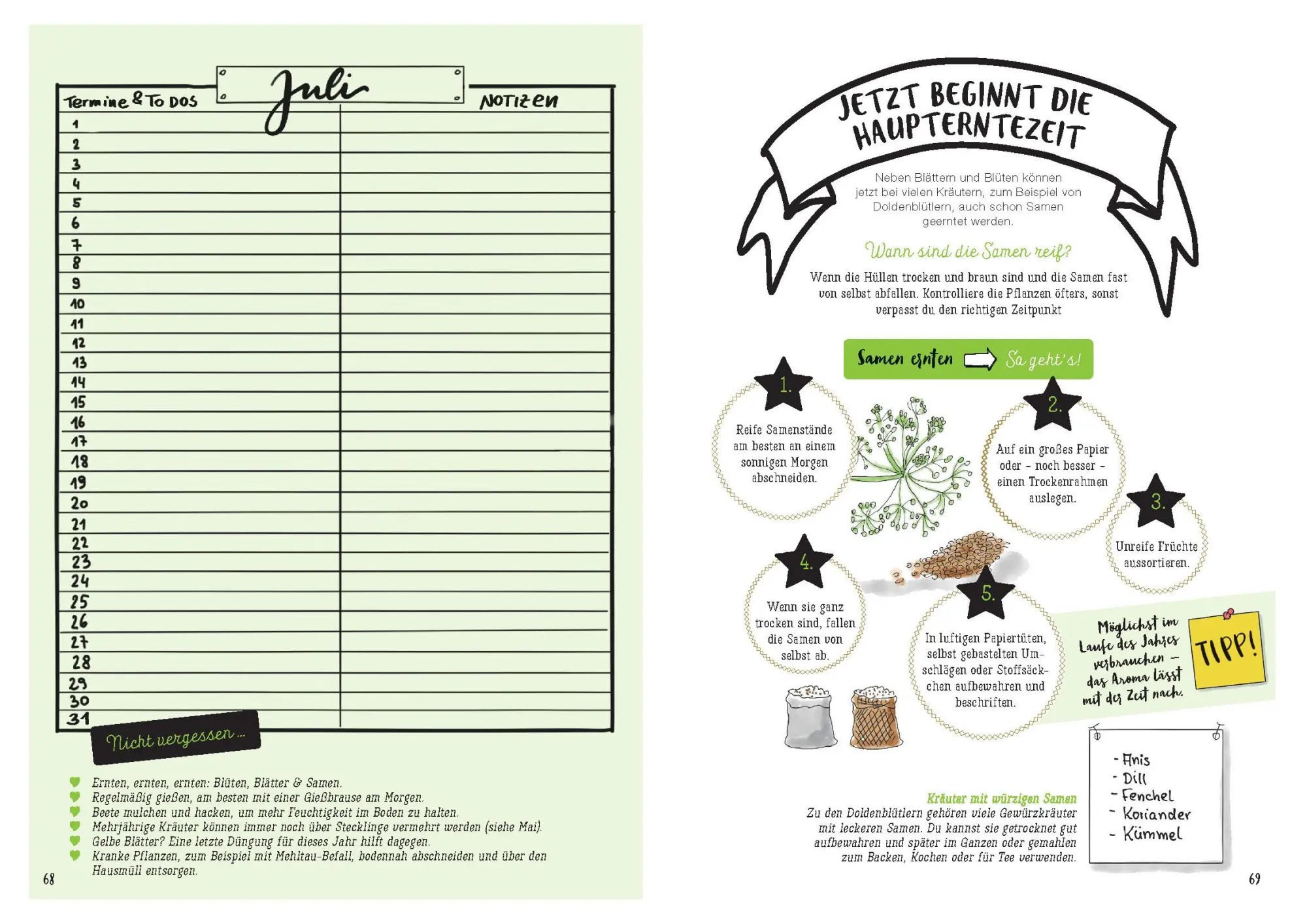 Bild: 9783809449850 | Mein Kräuter-Jahr - Das informative Bullet Journal - Monat für Monat