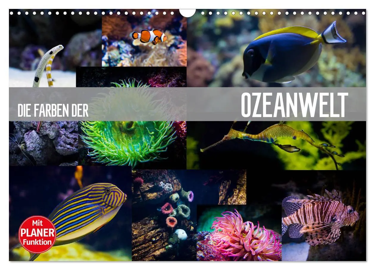 Cover: 9783457999950 | Die Farben der Ozeanwelt (Wandkalender 2026 DIN A3 quer), CALVENDO...