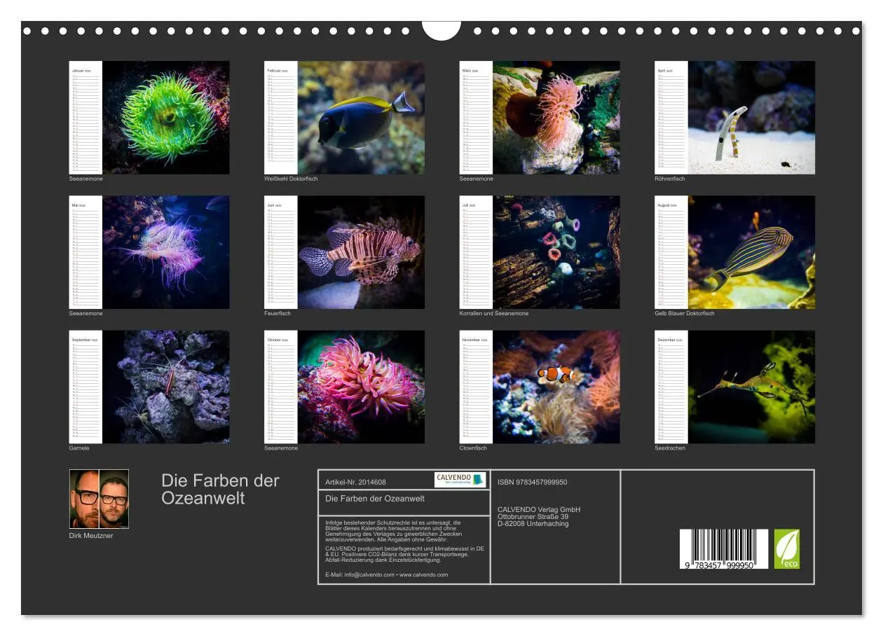 Bild: 9783457999950 | Die Farben der Ozeanwelt (Wandkalender 2026 DIN A3 quer), CALVENDO...