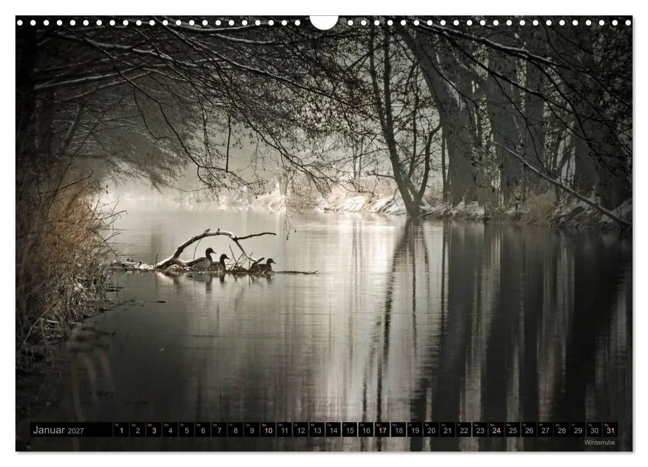 Bild: 9783594069950 | Traumlandschaften 2027 (Wandkalender 2027 DIN A3 quer), CALVENDO...