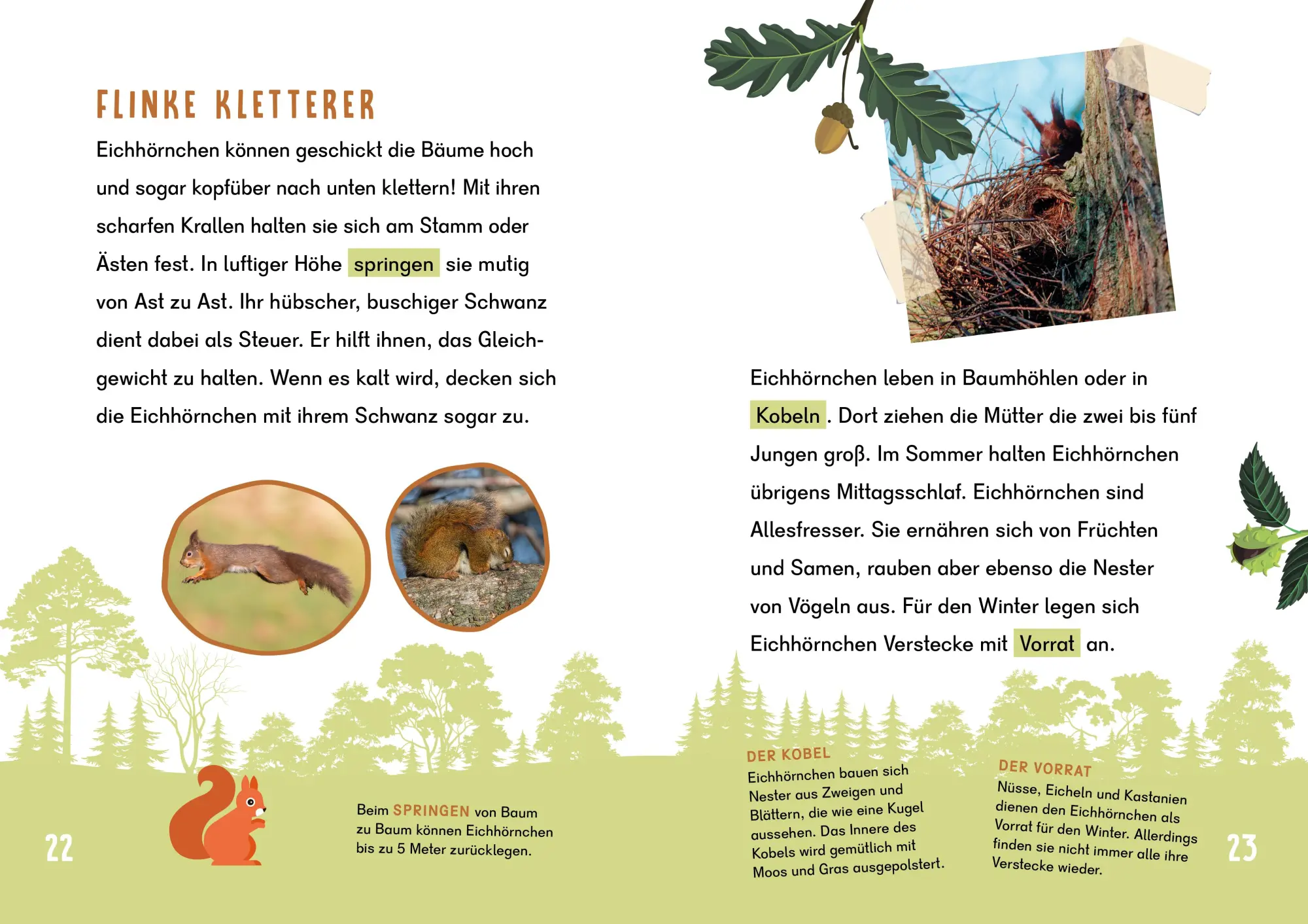 Bild: 9783411780051 | Dein Lesestart - Wald | Babette Pribbenow | Buch | Dein Lesestart