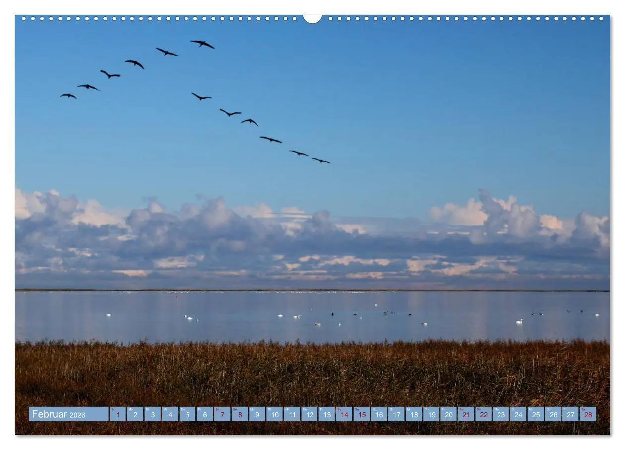 Bild: 9783457940051 | Stralsund und die Boddenlandschaft (Wandkalender 2026 DIN A2 quer),...