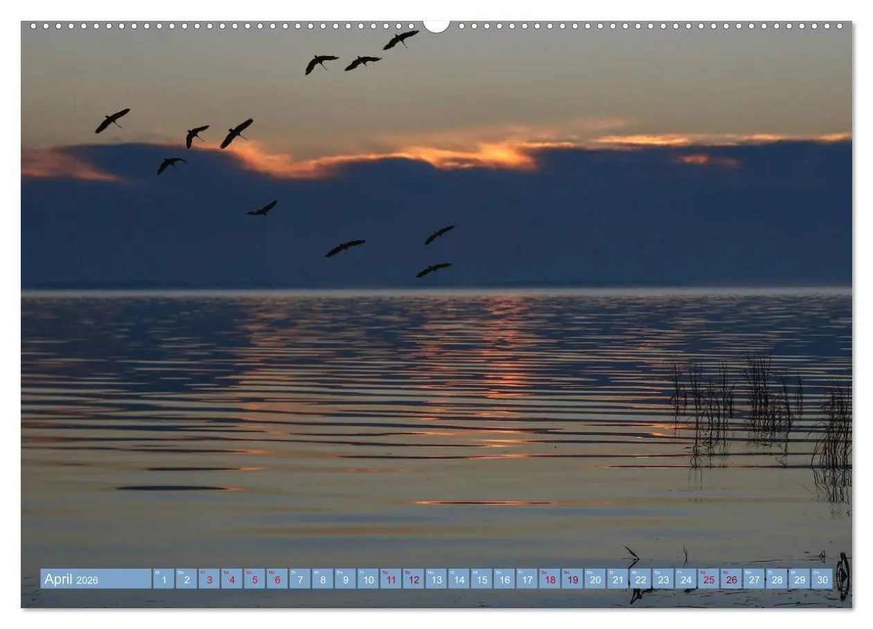 Bild: 9783457940051 | Stralsund und die Boddenlandschaft (Wandkalender 2026 DIN A2 quer),...