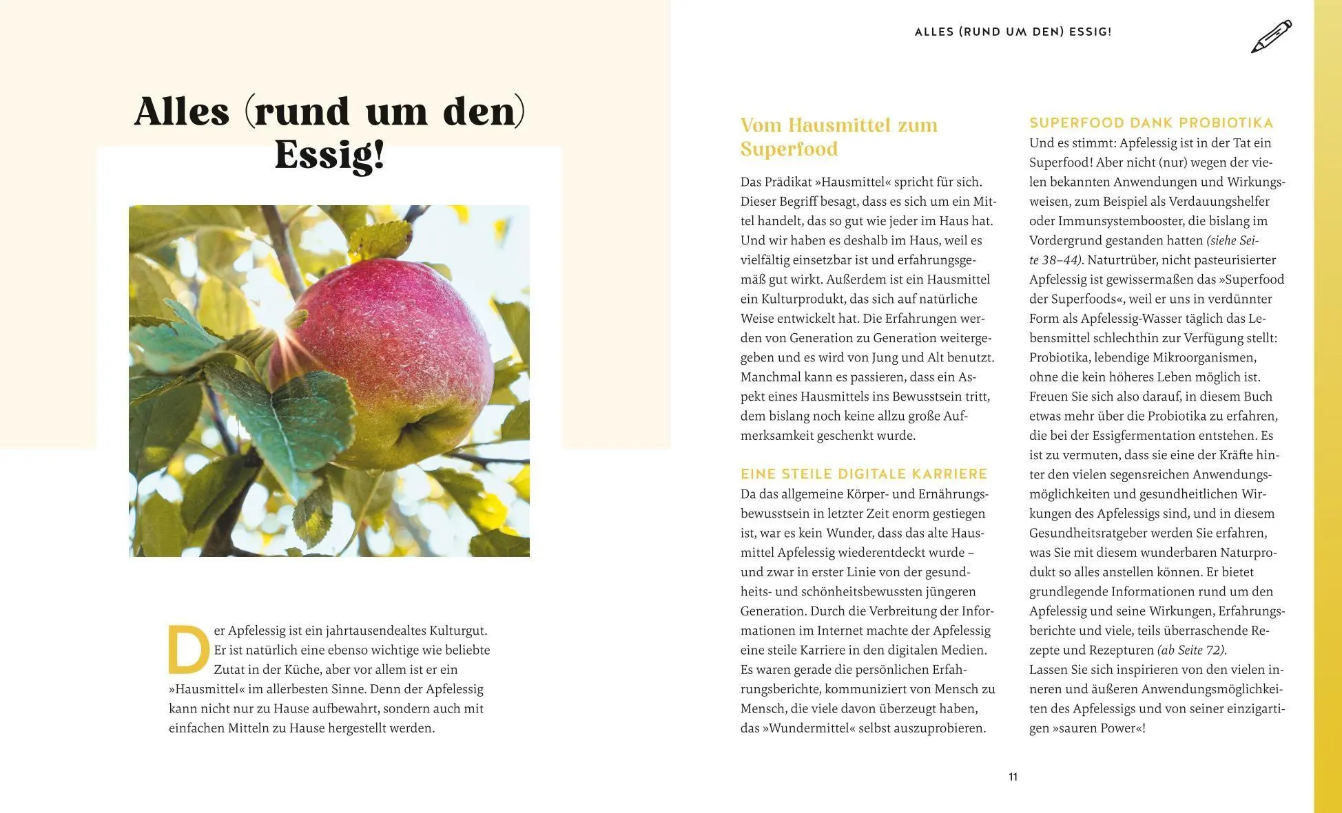 Bild: 9783758900051 | Der Apfelessig-Effekt | Burkhard Hickisch | Taschenbuch | 128 S.