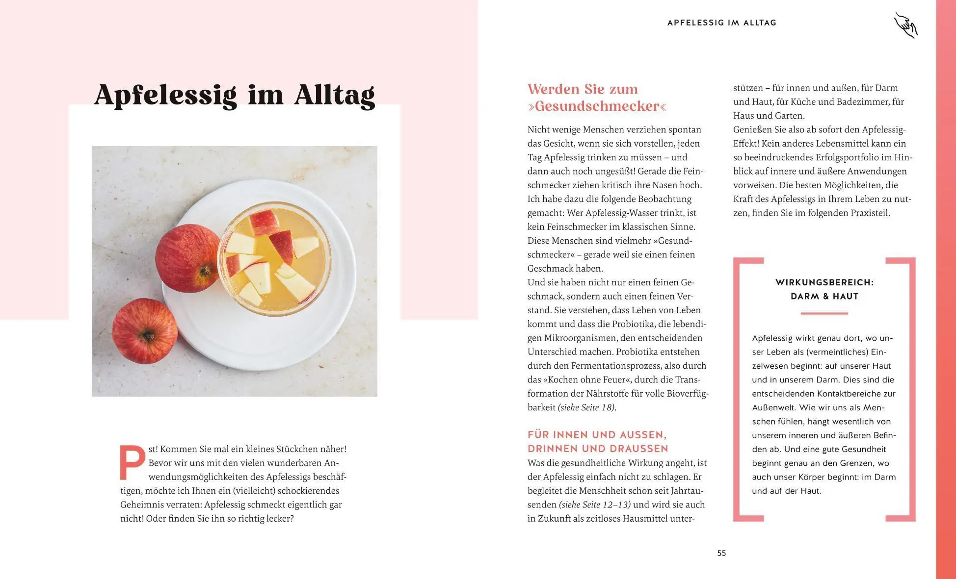 Bild: 9783758900051 | Der Apfelessig-Effekt | Burkhard Hickisch | Taschenbuch | 128 S.