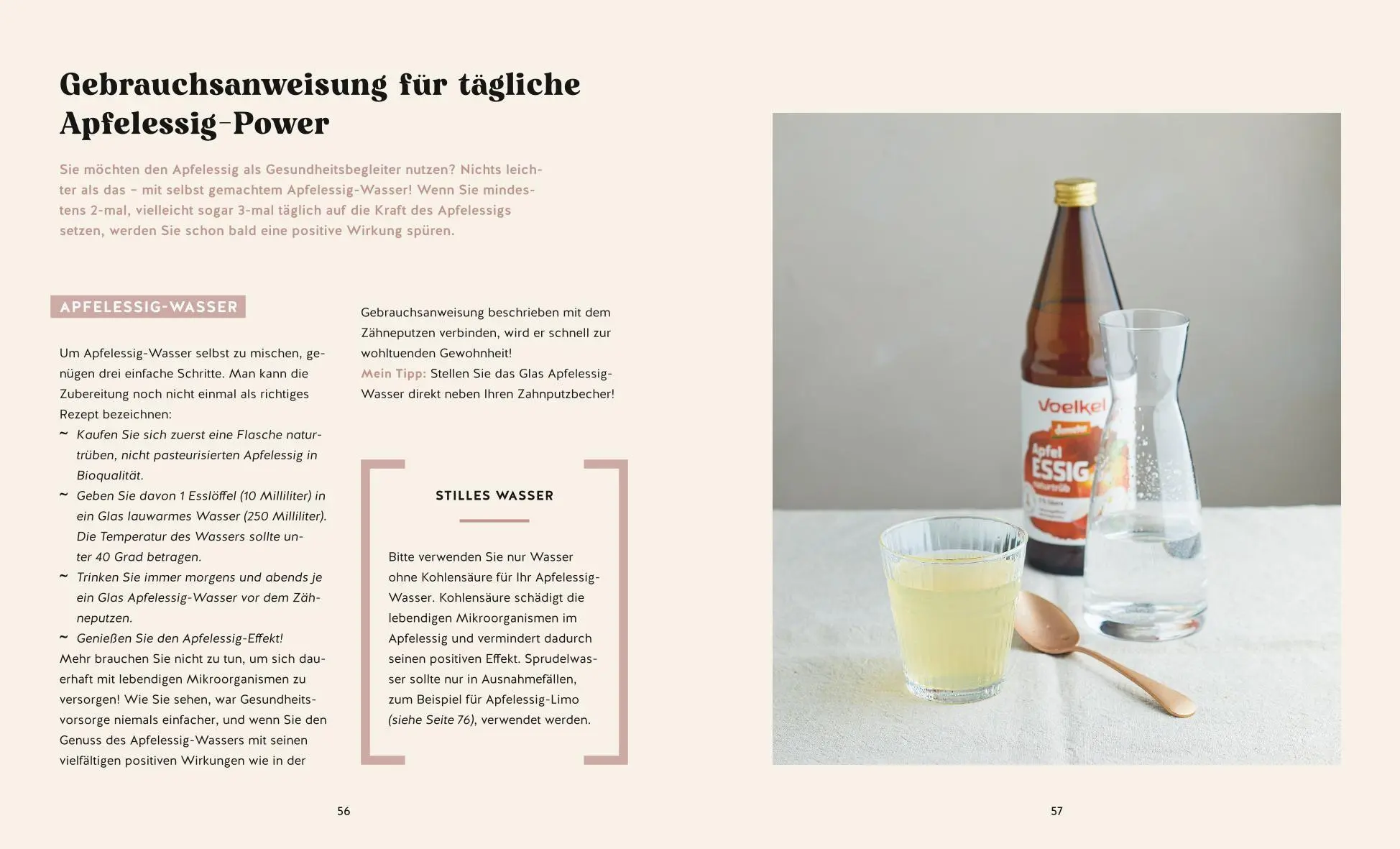 Bild: 9783758900051 | Der Apfelessig-Effekt | Burkhard Hickisch | Taschenbuch | 128 S.