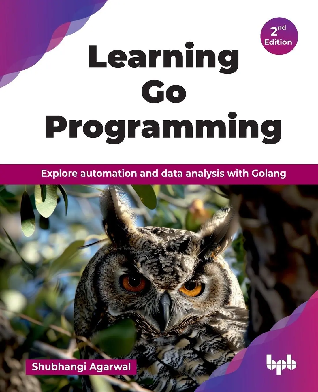 Cover: 9789365890051 | Learning Go Programming | Shubhangi Agarwal | Taschenbuch | Englisch