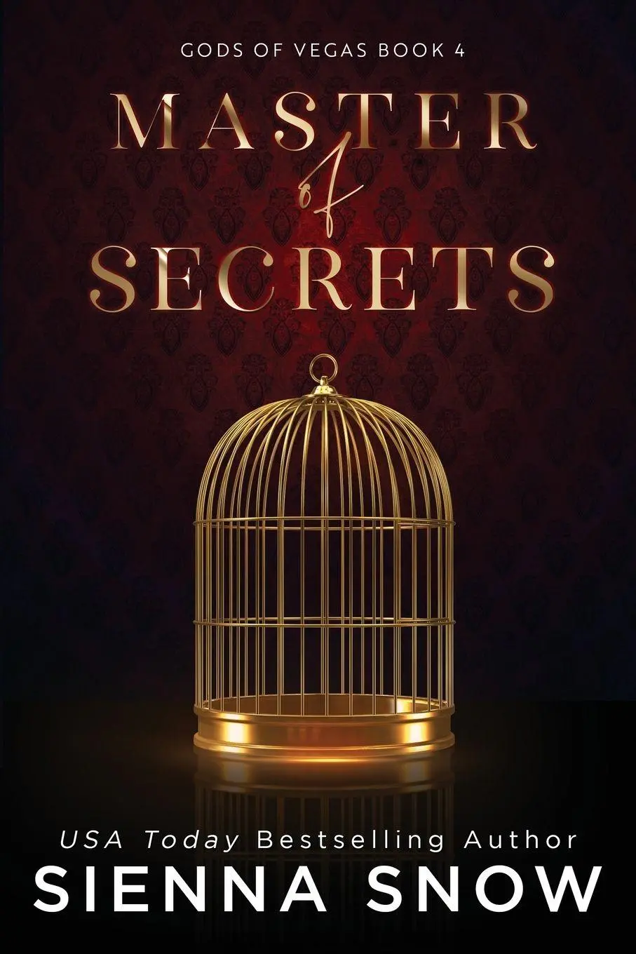 Cover: 9798885350051 | Master of Secrets (Special Edition) | Sienna Snow | Taschenbuch | 2022