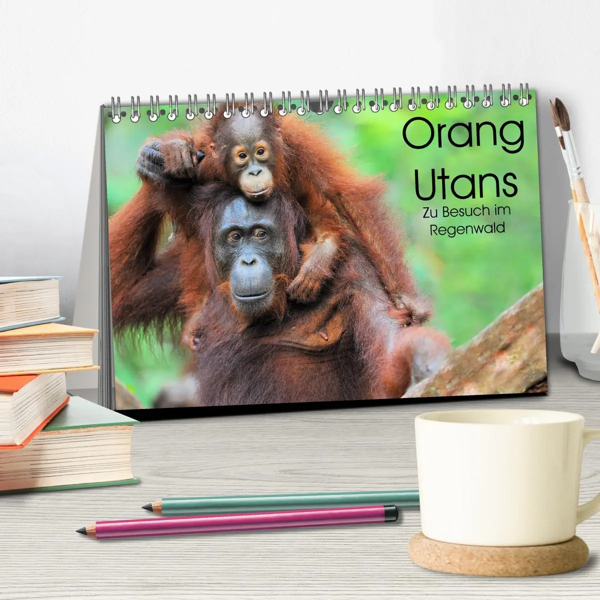 Bild: 9783457790151 | Orang Utans: Zu Besuch im Regenwald (Tischkalender 2026 DIN A5...