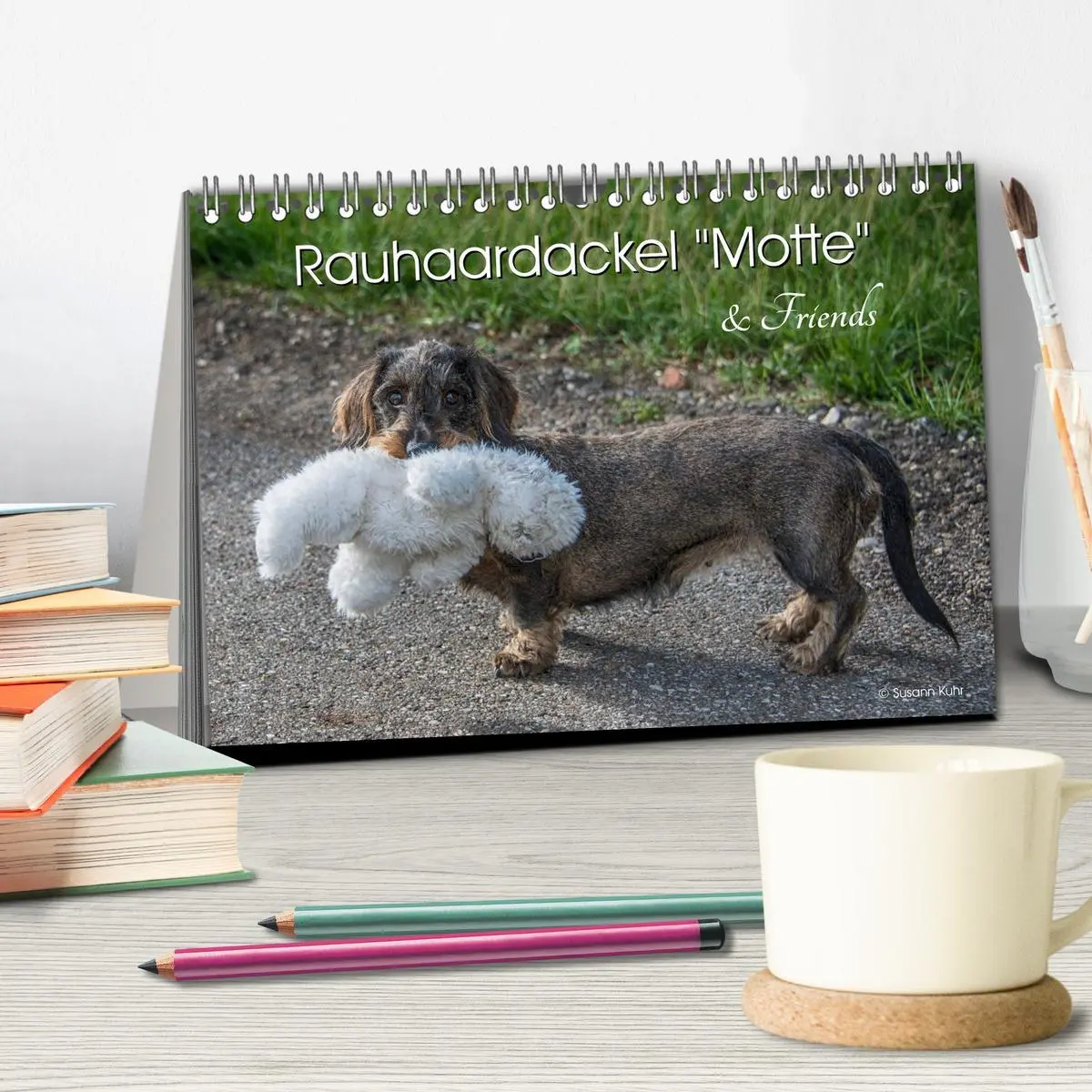 Bild: 9783457930151 | Rauhaardackel Motte &amp; Friends (Tischkalender 2026 DIN A5 quer),...