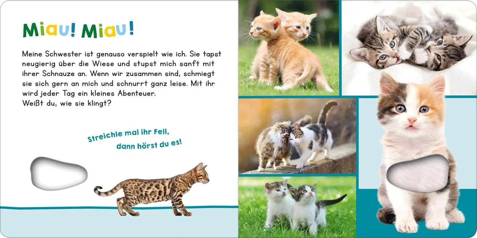 Bild: 9783845870151 | Hör mal rein, wer kann das sein? Meine Schwester | Buch | 12 S. | 2026