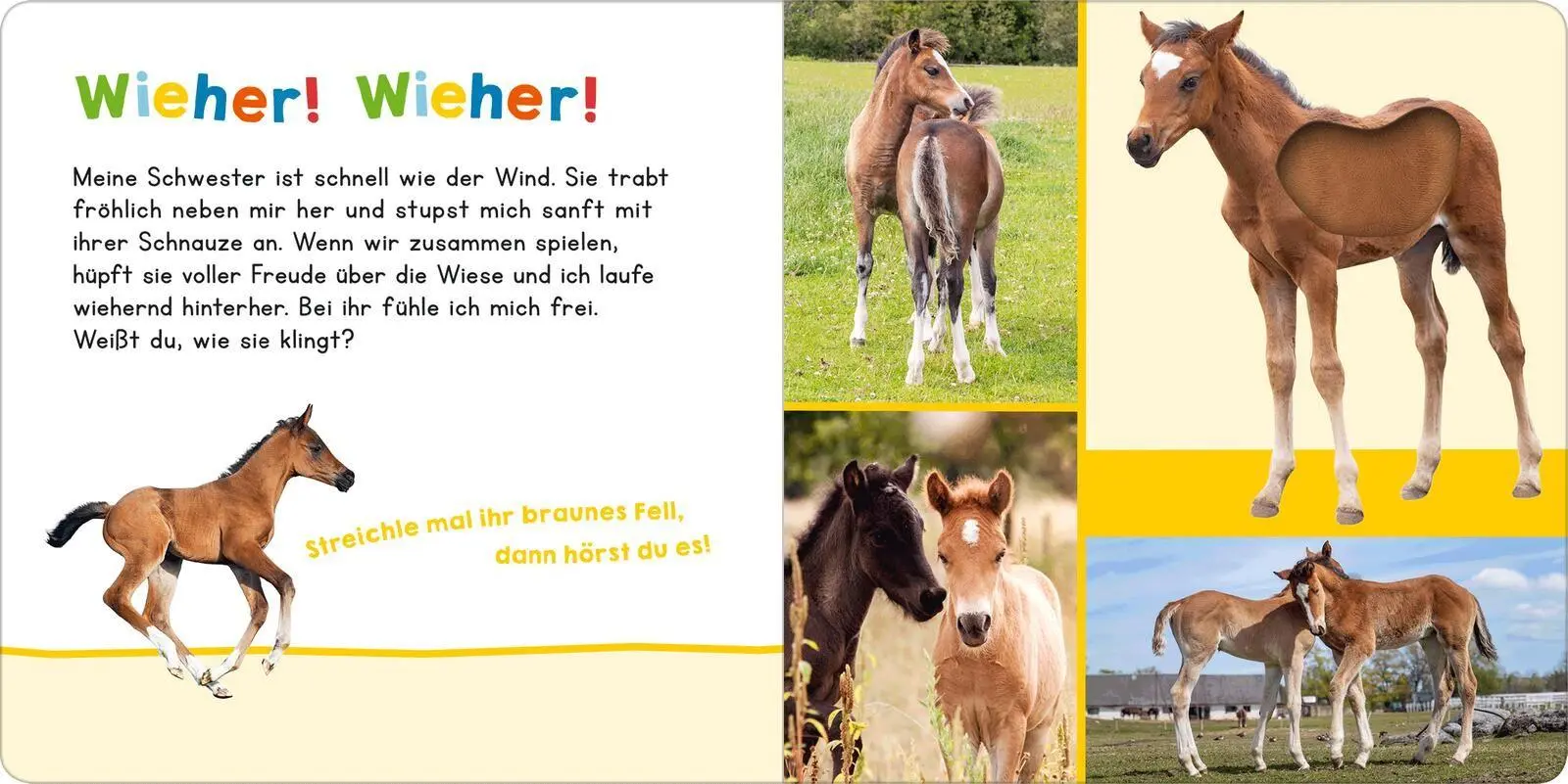 Bild: 9783845870151 | Hör mal rein, wer kann das sein? Meine Schwester | Buch | 12 S. | 2026