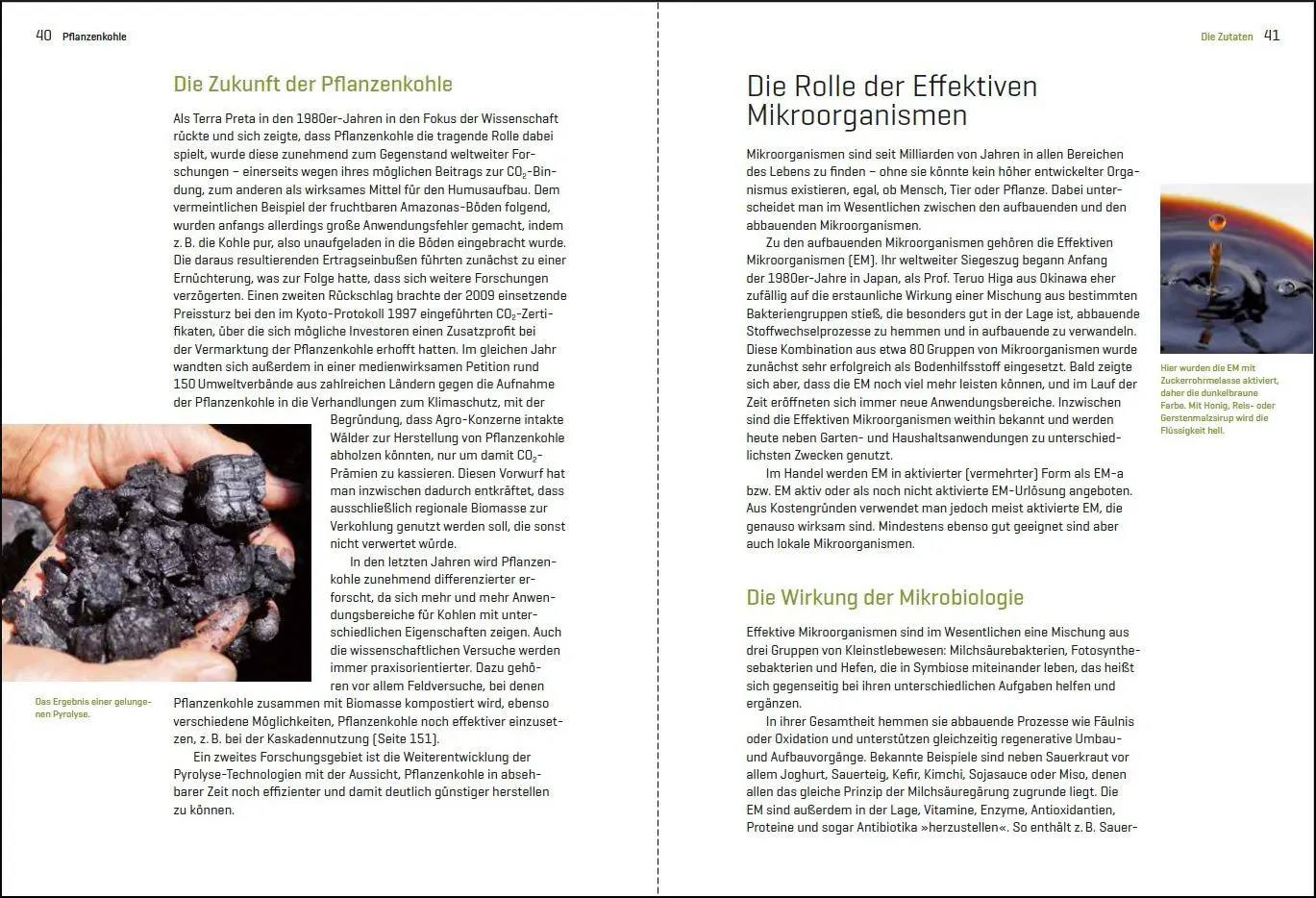 Bild: 9783962380151 | Natürlich gärtnern mit Terra Preta | Caroline Pfützner | Taschenbuch